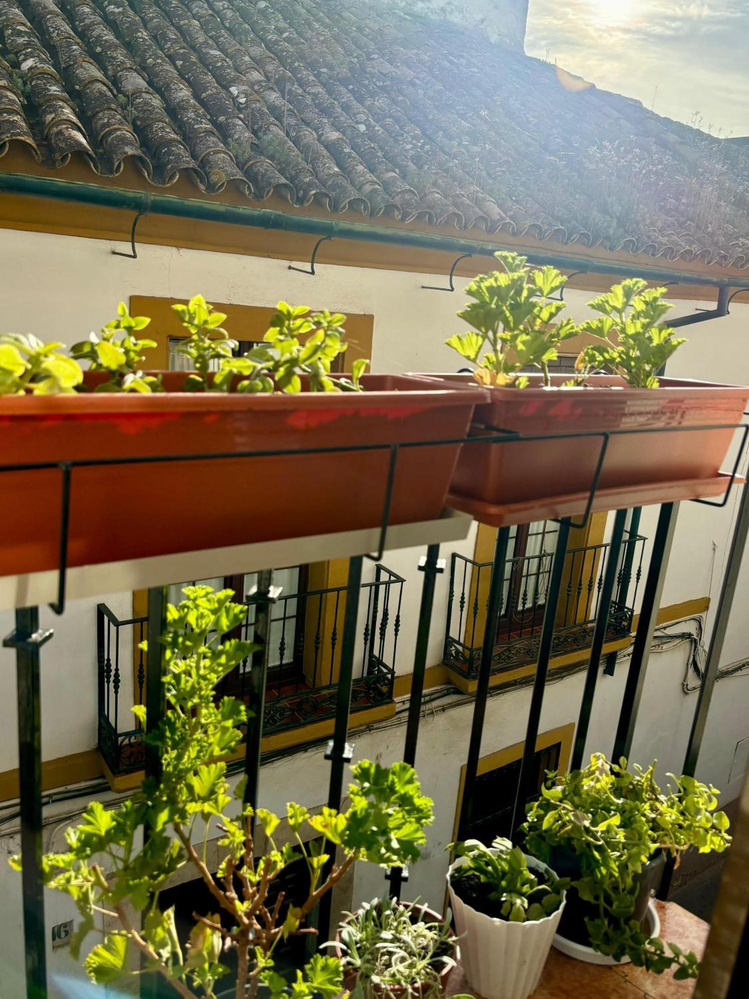 La Buganvilla De Santiago Córdoba Exteriér fotografie