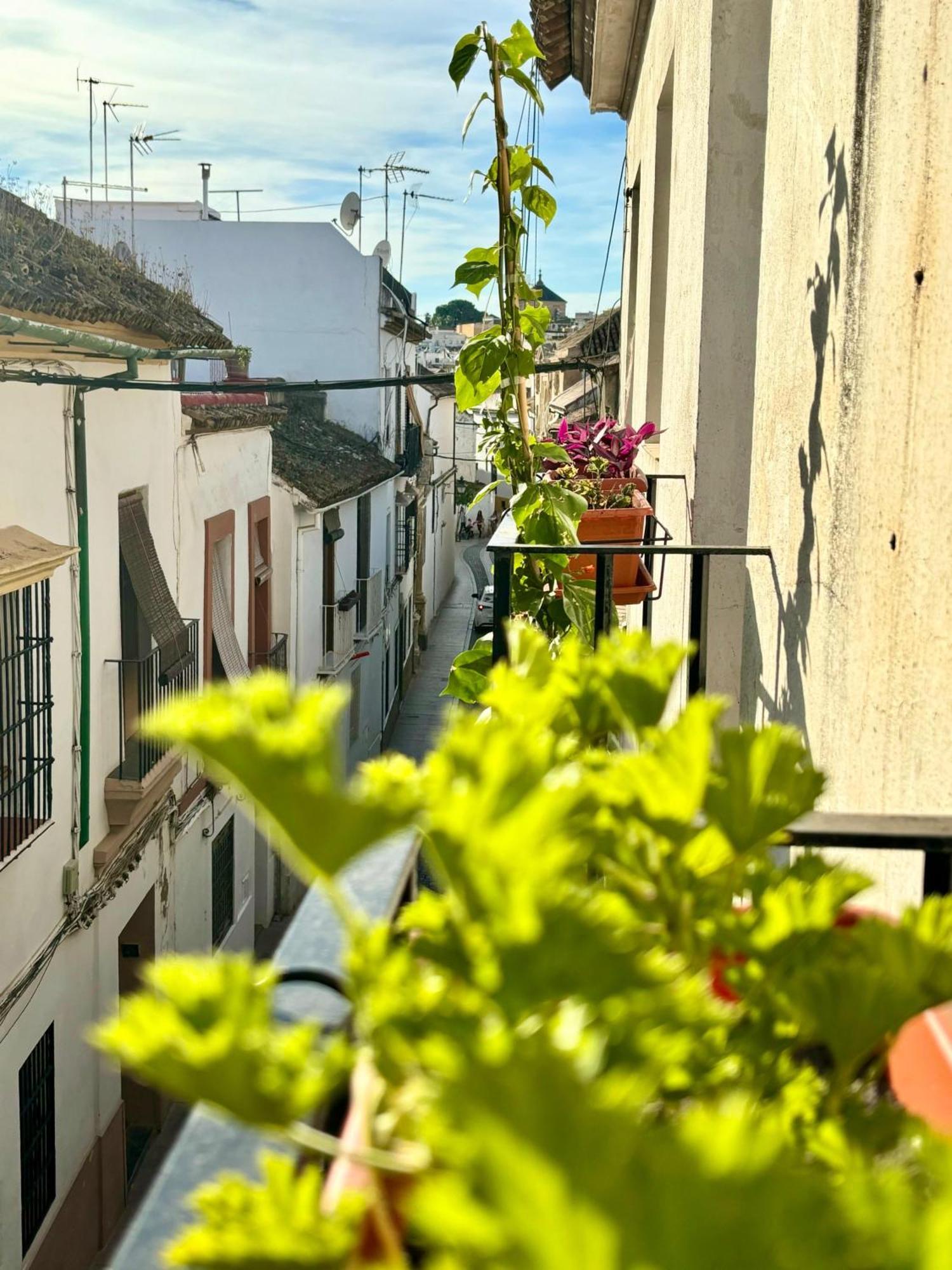 La Buganvilla De Santiago Córdoba Exteriér fotografie